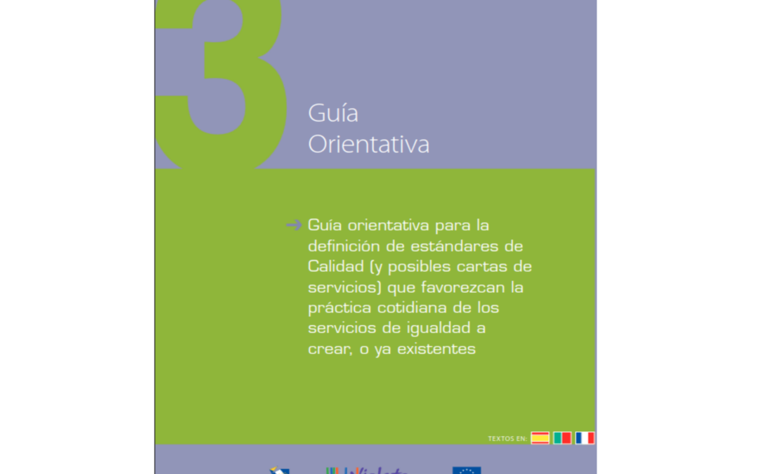 Guía orientativa para la definición de estándares de Calidad